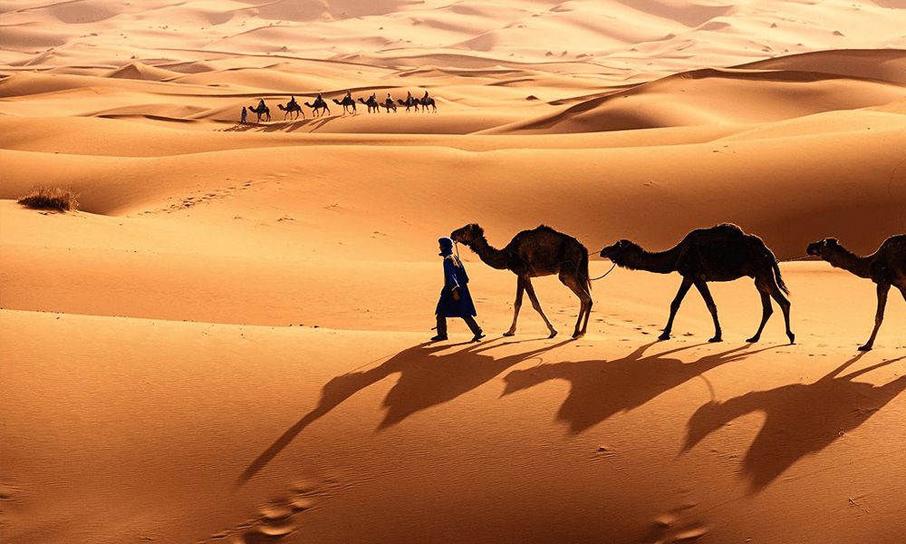 5 days south of Morocco